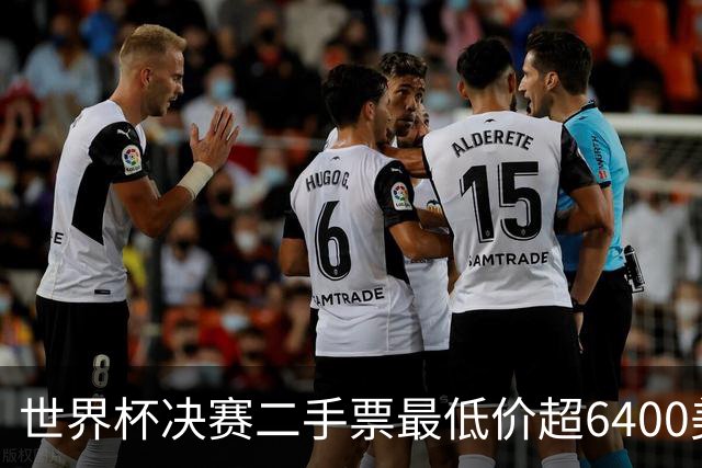 世界杯决赛二手票最低价超6400美元，VIP席位近6万
