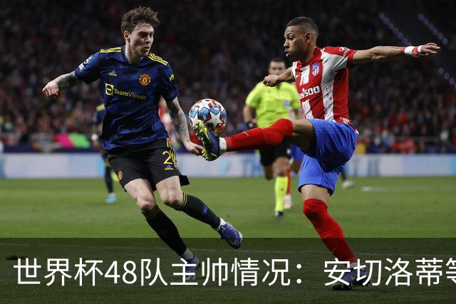 世界杯48队主帅情况：安切洛蒂等25人留任，德尚、纳帅离职